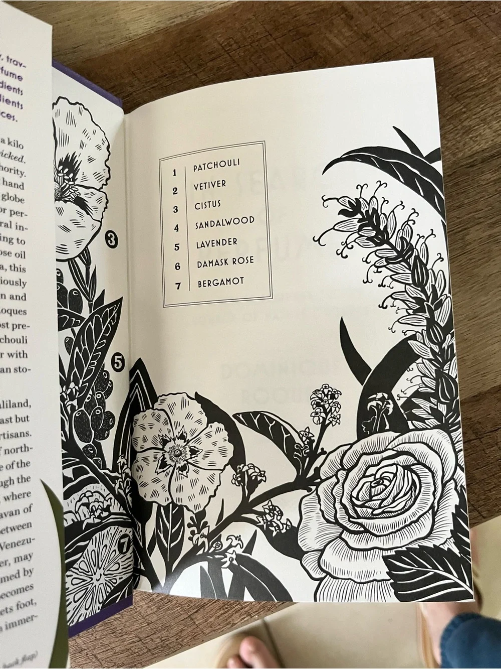 NEW In Search of Perfumes Hardcover Book Dominique Roques